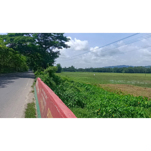 40-Acre Land Sale in Mirsarai Chittagong