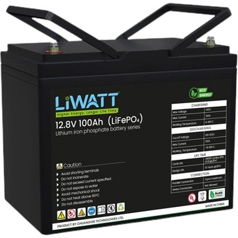 LiWatt 12v100AH Lithium-ion Phosphate Battery