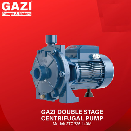 Gazi 2TCP25-140M 1.5HP Double Stage Centrifugal Pump
