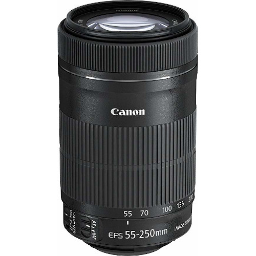 Canon EF-S 55-250mm f/4-5.6 IS STM DSLR Camera Lens