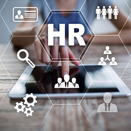 HR & Payroll Software