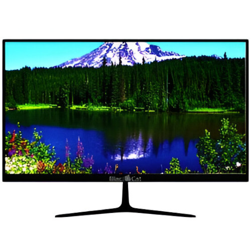 BlackCat C24i100 24″ FHD 100Hz Frameless IPS Monitor