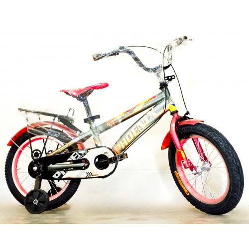 Phoenix Children's Bicycle with Baby Balanced