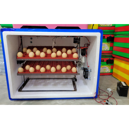 Automatic 264 Egg-Hatching Incubator Machine