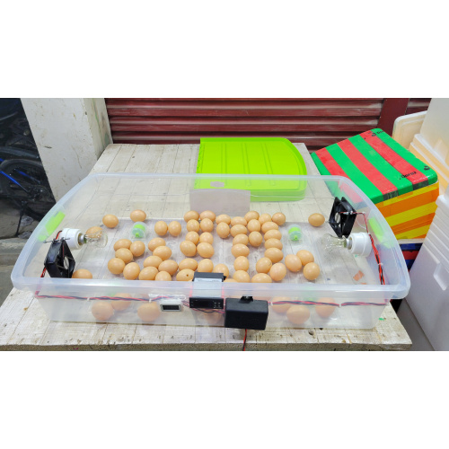 Automatic 150 Egg Hatching Incubator