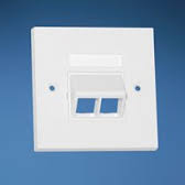 Panduit Original Dual Port Network Faceplate