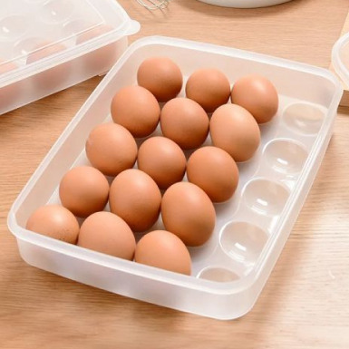 20-Grid Egg Storage Box