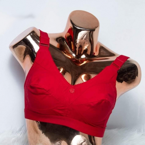 Wide Belt Indian Guddi Bra Price in Bangladesh | BDStall