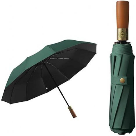 12-Stick Auto Open-Close Super Strong Umbrella