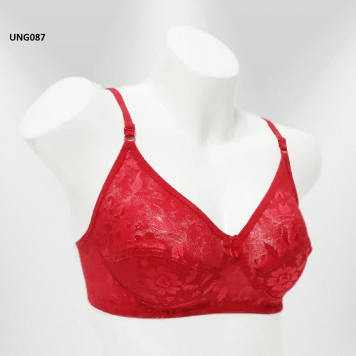 Lace Non-Wired Non-Padded Everyday Wear Bra