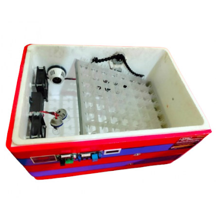 56-Capacity AC/DC Egg Incubator