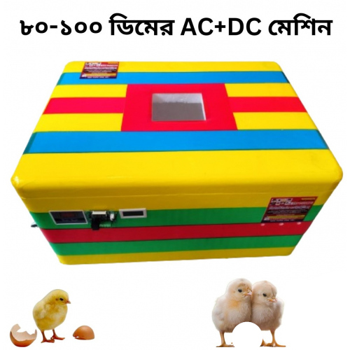 80 to 100 Capacity AC + DC Egg Incubator Machine