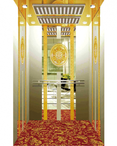 Hammer 700 Kg 9-Person Modern Design Elevator