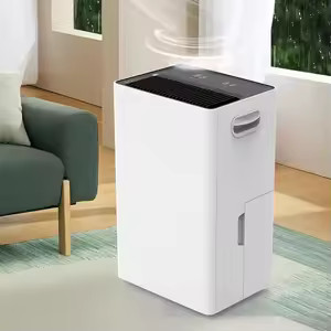 Richard RJH-20L Dehumidifier