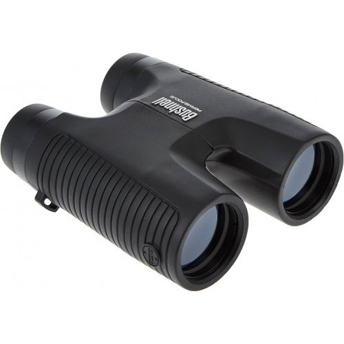 Bushnell 10 x 42 Power View Roof Prism Binocular