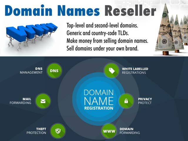 Domain Reseller Business Account with Financial Management