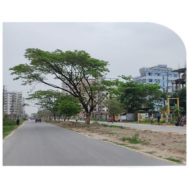 5 Katha Ready Plot Sale Block-M Sector-4 Aftab Nagar