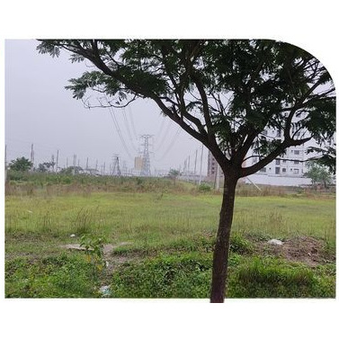 3 Katha Ready Plot Sale Block-N Sector-3 Aftab Nagar