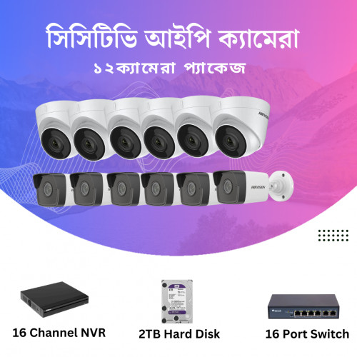 CCTV Package 16CH NVR 12PCS IP Camera 1TB HDD