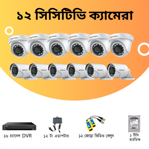 CCTV Package Hikvision 7116HGHI-K1 16-CH DVR 12-Camera