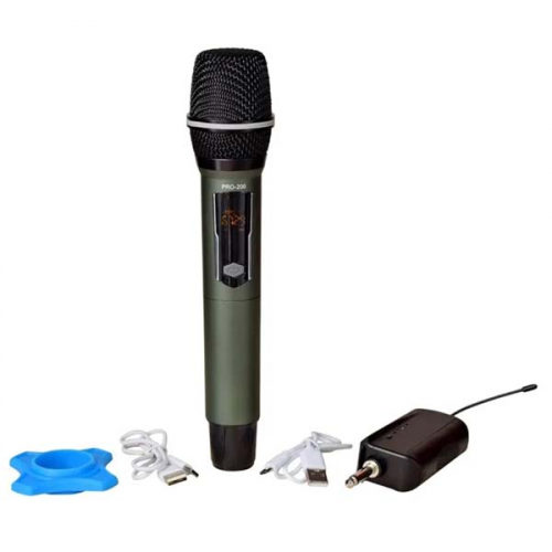 Shengfu CP-113CD Professional Microphone