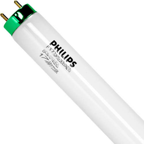 Philips U35 32-Watt Tube Light