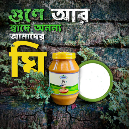 Pabna's Famous Gawa Ghee 500gm