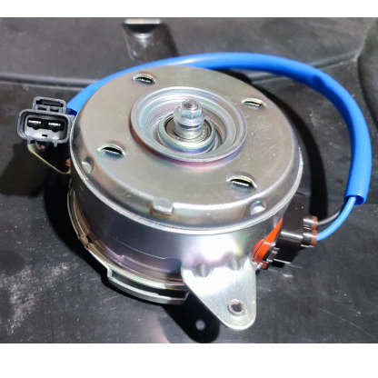 Radiator Fan Motor