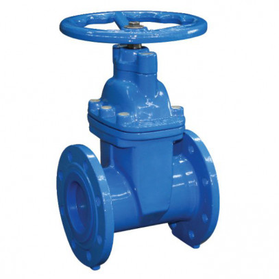 2" MS Gate Valve