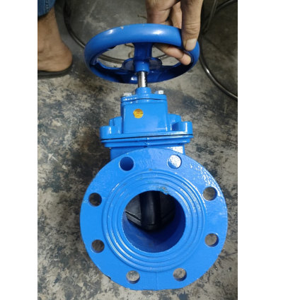 4" MS Gate Valve