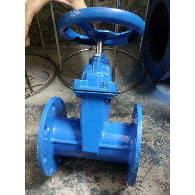 6" MS Gate Valve