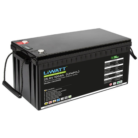 LiWATT LW24100E 24.6V 100Ah Battery