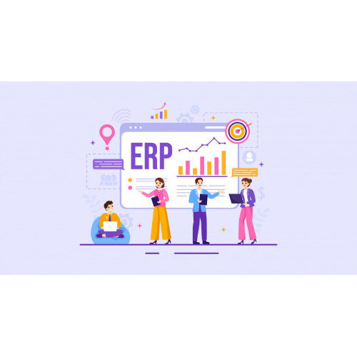 ERP Software for Multi Company