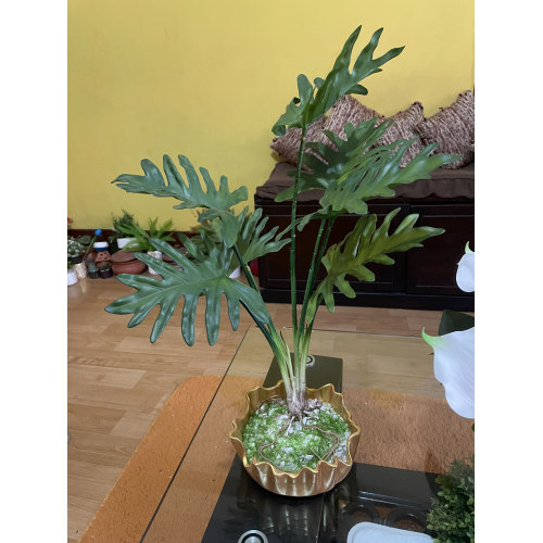 Artificial Plant & Vase