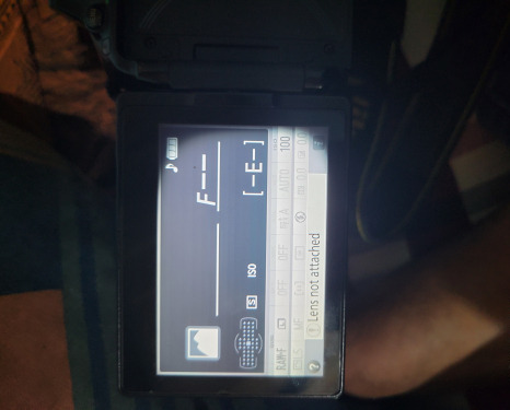 Nikon D5300