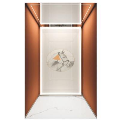 LG 480Kg 6-Stop 33% Energy-Saving 6-Person Lift