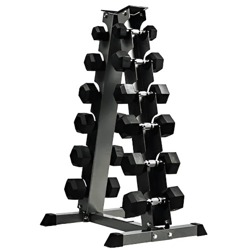 Multi-Function Dumbbell Rack