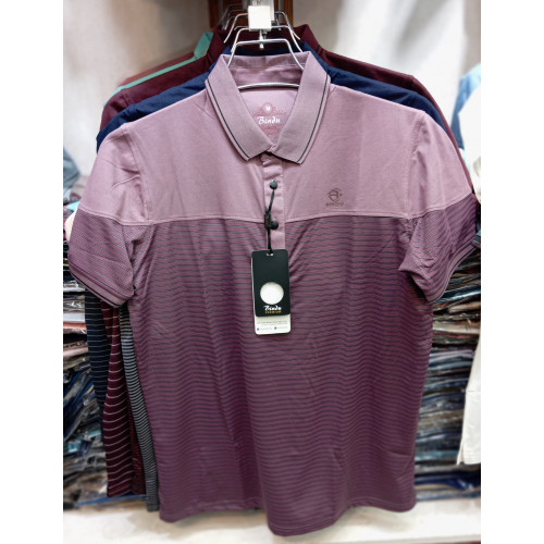 Bindu Fashionable Polo T-Shirt