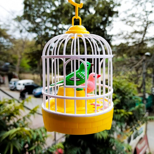 Cute Talking Birds with Mini Bird Cage