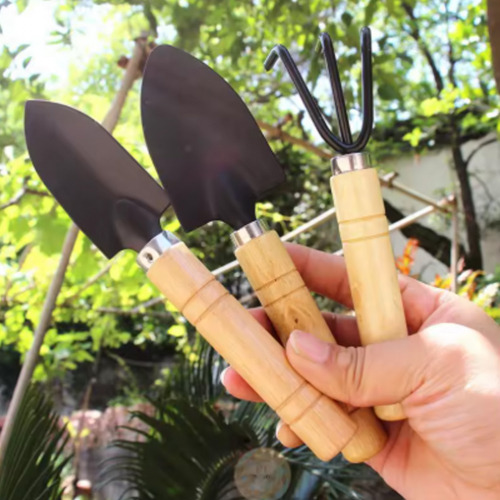 3 Pcs Ferramentas Bonsai Mini Garden Tool Set