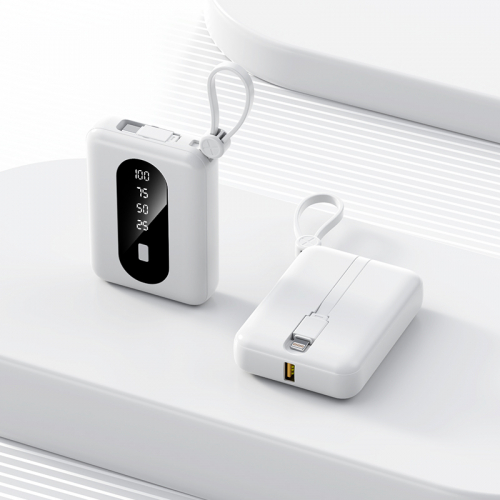 Proton PowerHouse 4 10000mAh Power Bank