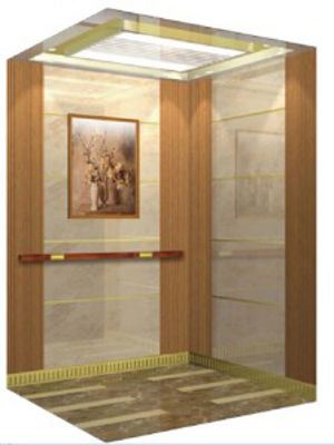 High Quality Elevator Passenger Lift 10-13 Persons Capacity