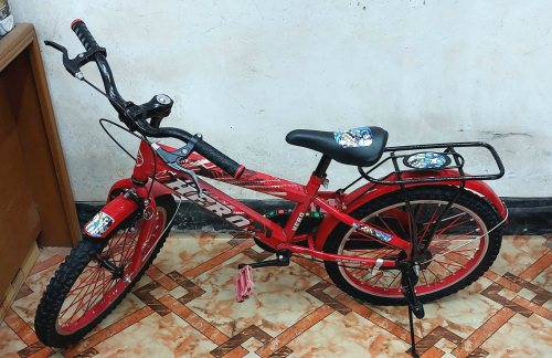 Hero Sports 1.0 Bicycle with Backseat