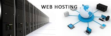 Dedicated Linux Web Hosting 50GB SSD Storage