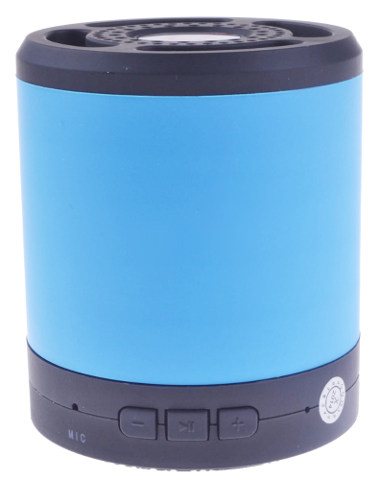 Portable 3W Loud Output Wireless Bluetooth Speaker PT-H901U