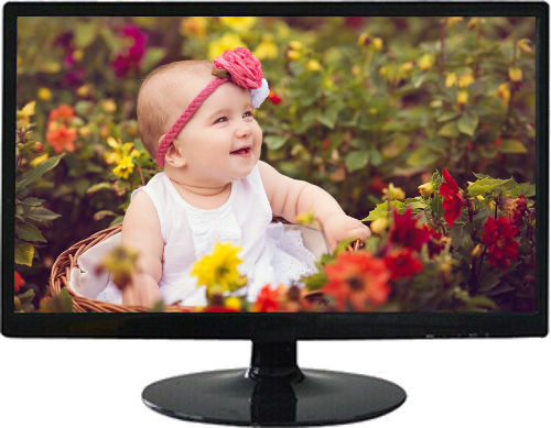 Poly Sonic 18.5" Widescreen Full HD LED Computer Monitor