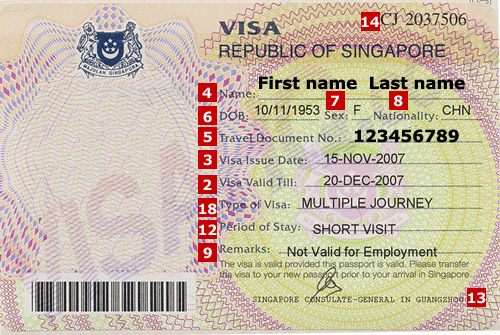 Singapore Visa Processing Support Service
