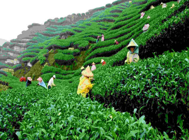 Sylhet Three Days Two Nights 2 Star Hotel Tour Package
