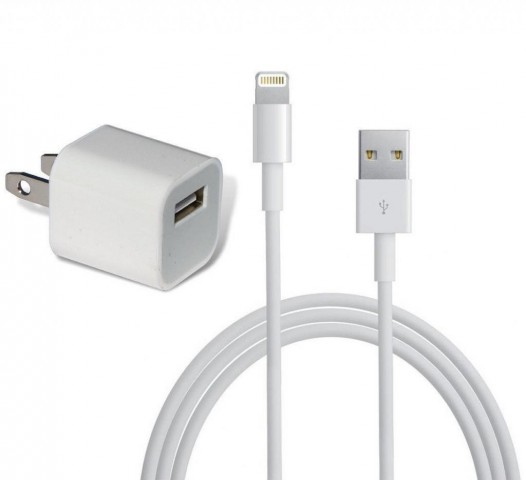 Apple iPhone Charger