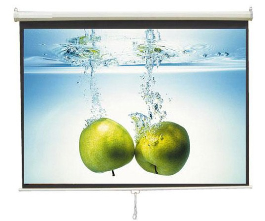 Apollo 70 x 70 Inch Mate White Wall Projector Screen